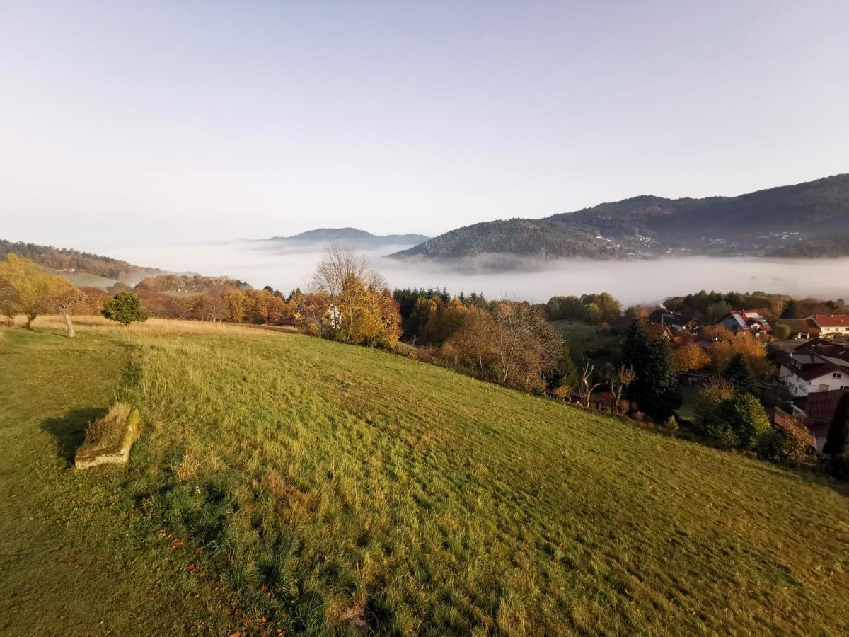 Haus Am Berg Mit Wellnessbereich, Bar Und Panorama Villa Bühlertal Buitenkant foto