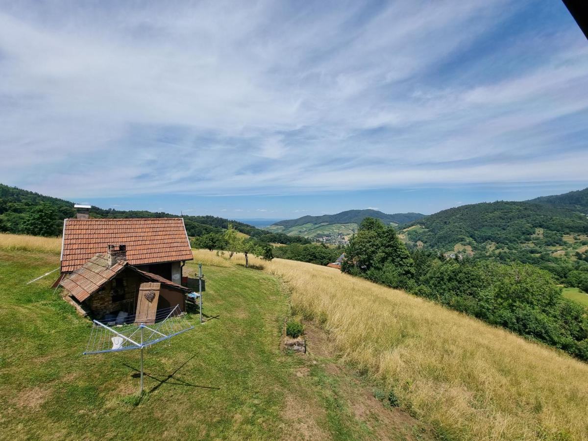 Haus Am Berg Mit Wellnessbereich, Bar Und Panorama Villa Bühlertal Buitenkant foto