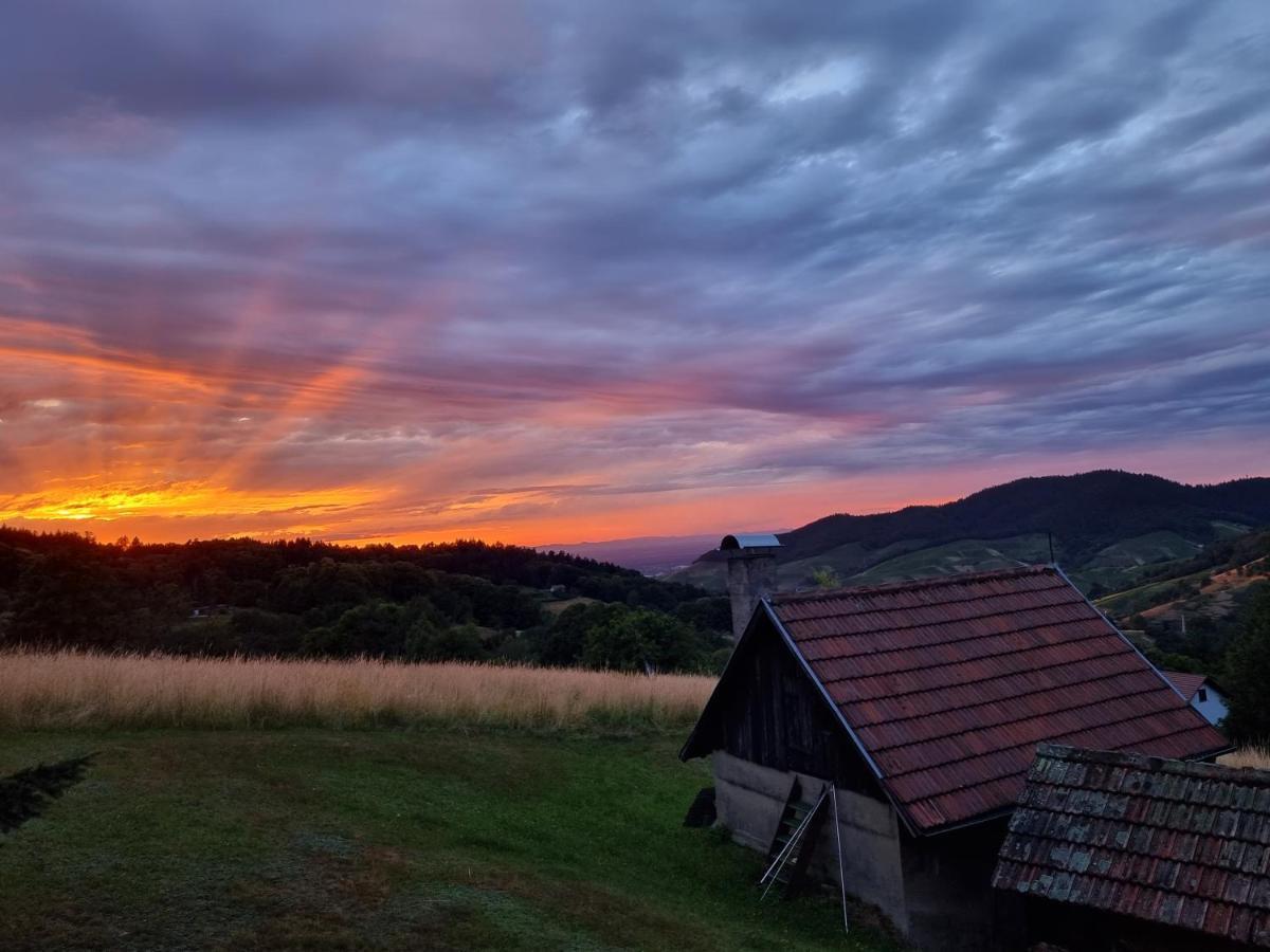 Haus Am Berg Mit Wellnessbereich, Bar Und Panorama Villa Bühlertal Buitenkant foto