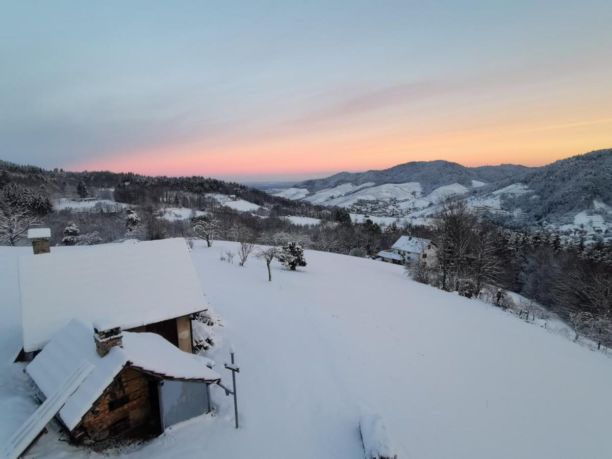 Haus Am Berg Mit Wellnessbereich, Bar Und Panorama Villa Bühlertal Buitenkant foto